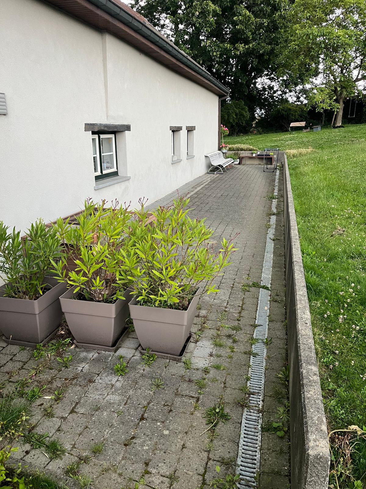 Terrasreiniging | Klinkers