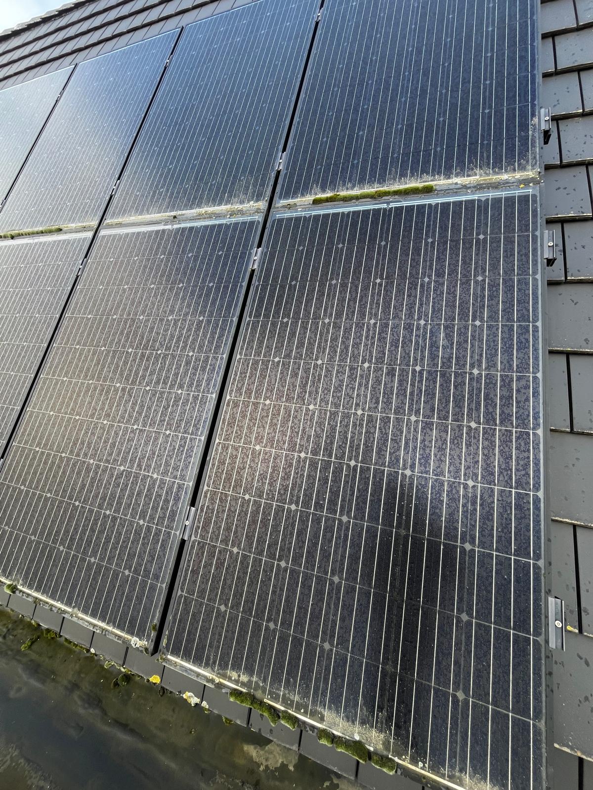 Zonnepanelen reinigen in Denderleeuw