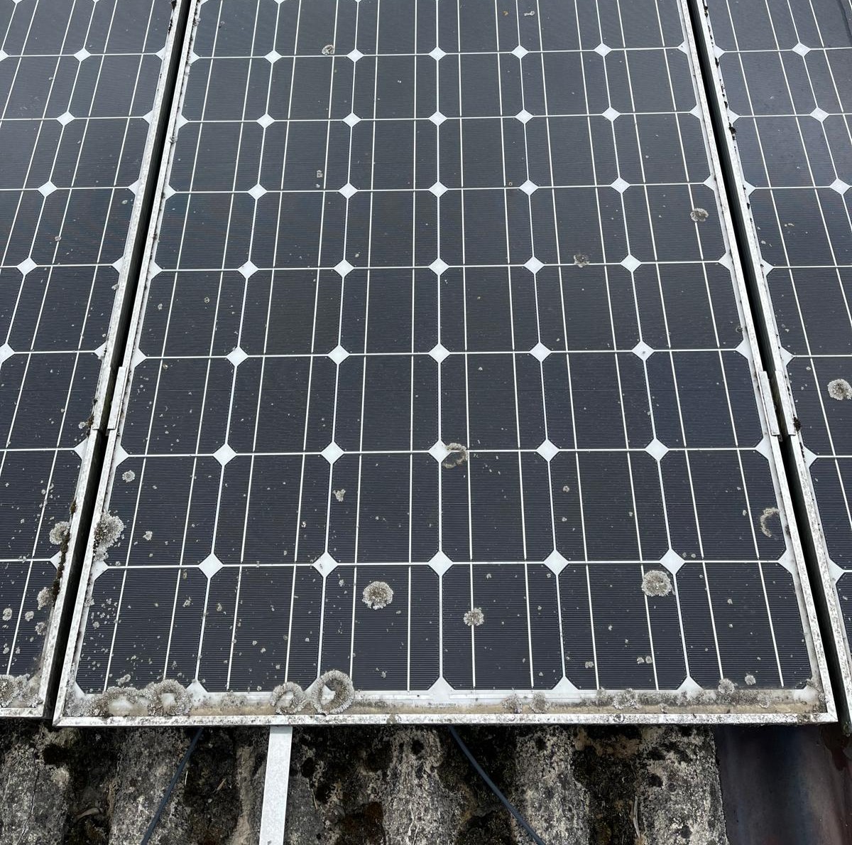 Zonnepanelen reinigen | Bedrijfshangaar