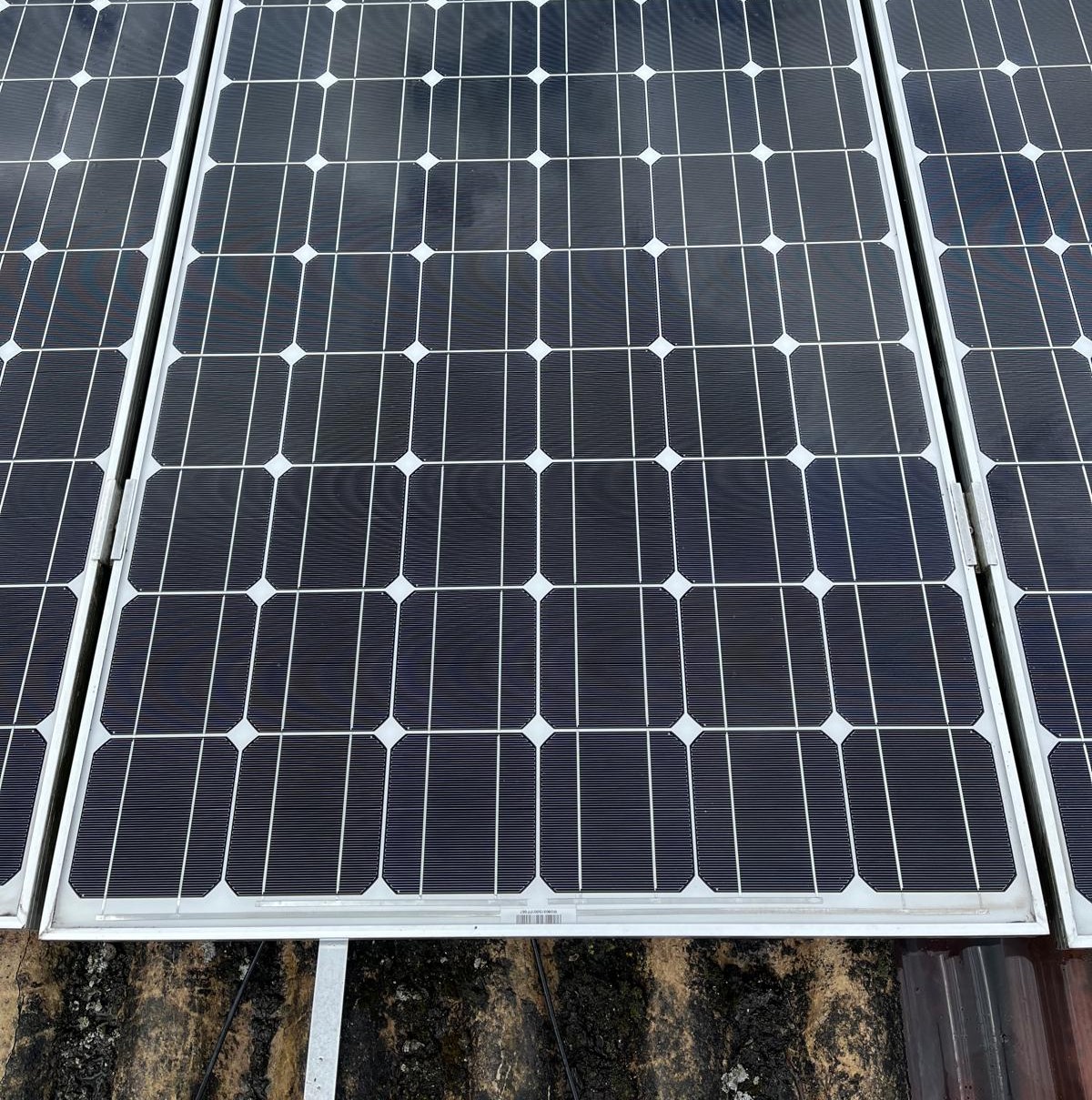 Zonnepanelen reinigen | Bedrijfshangaar